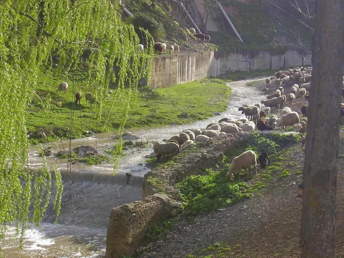 Vila Alojamiento El Cortijuelo Escoznar Exteriér fotografie