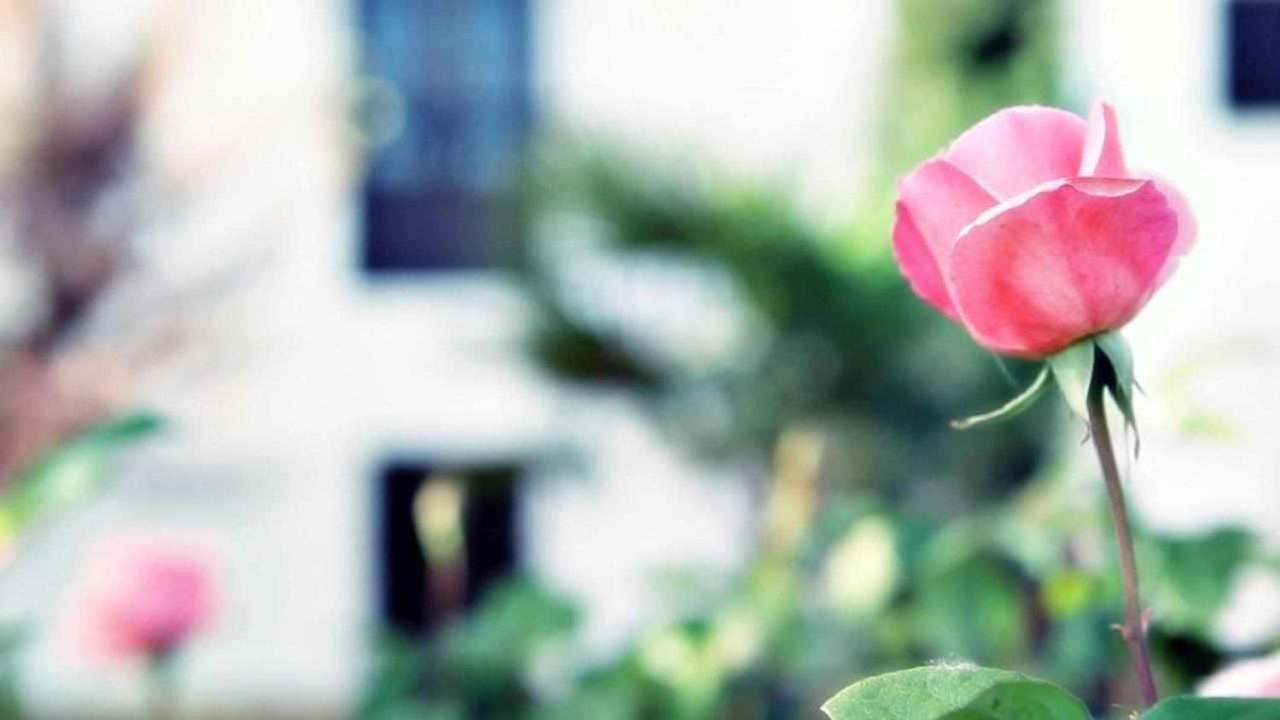 Vila Alojamiento El Cortijuelo Escoznar Exteriér fotografie