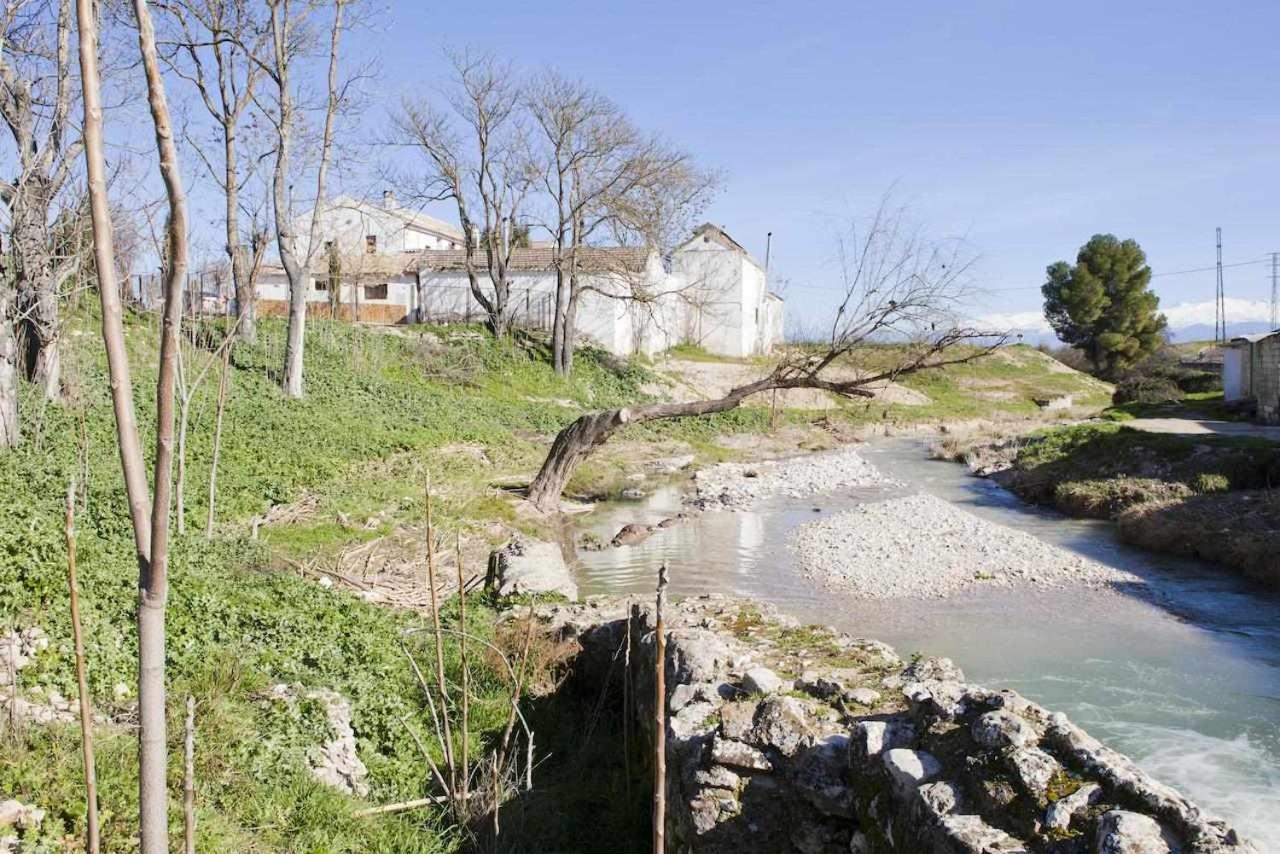 Vila Alojamiento El Cortijuelo Escoznar Exteriér fotografie