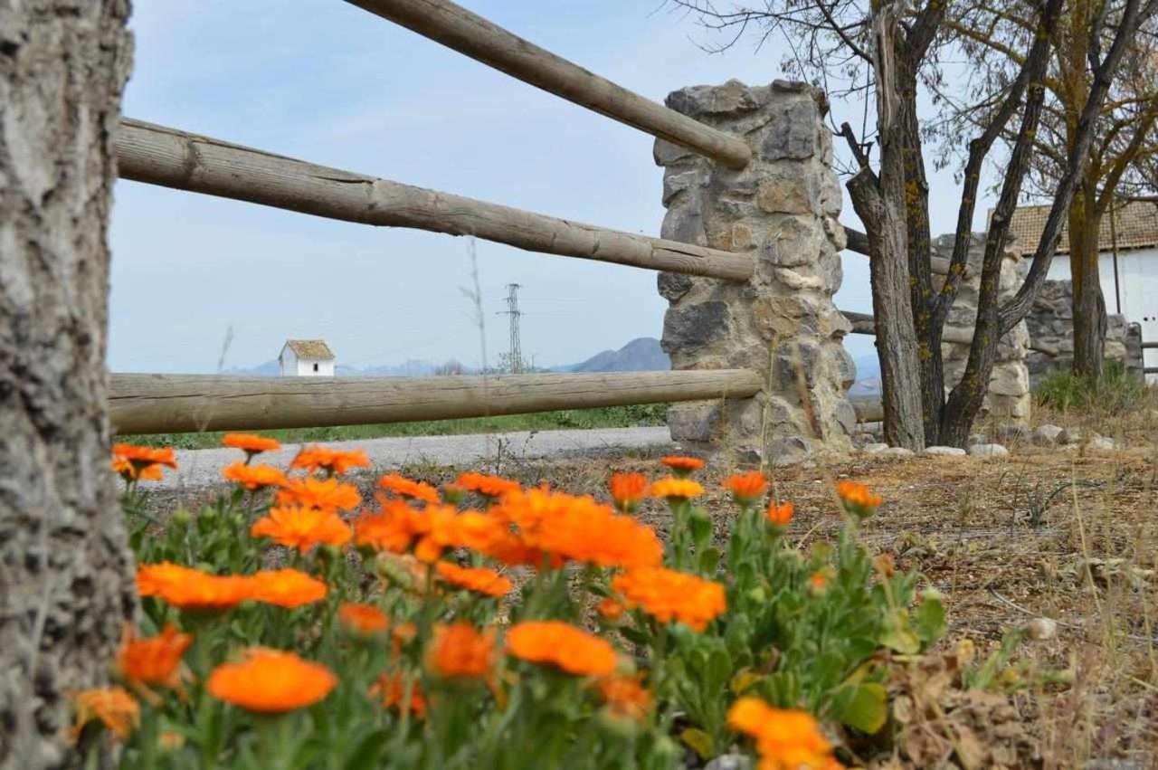 Vila Alojamiento El Cortijuelo Escoznar Exteriér fotografie